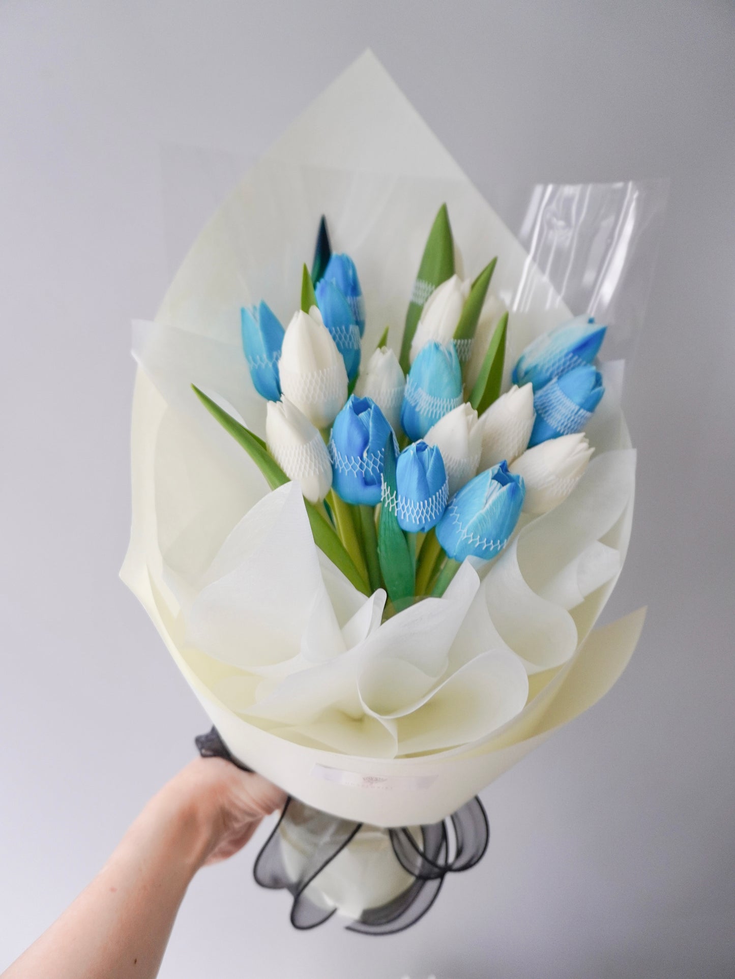 Blue and White Tulips