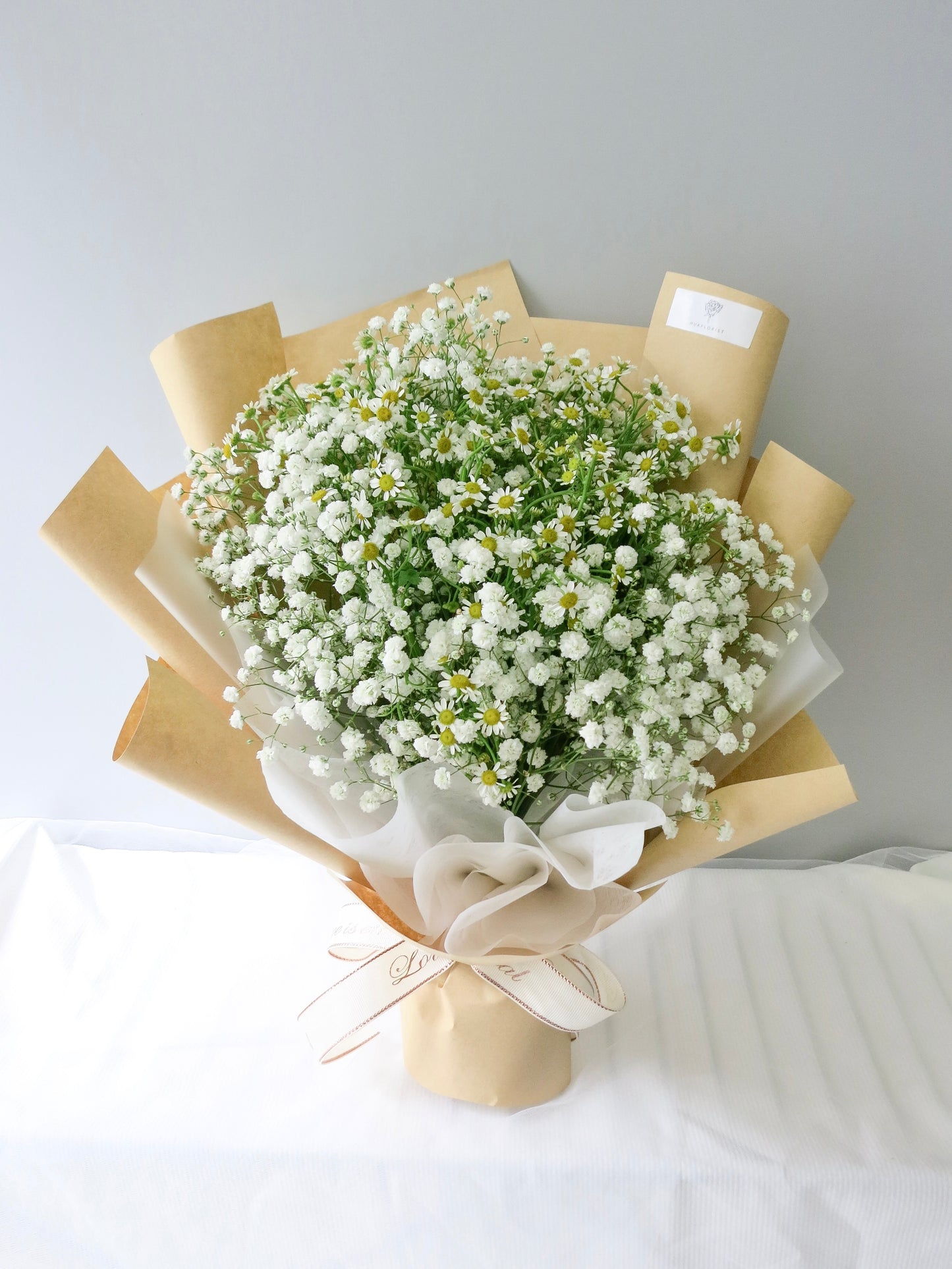 Daisy Baby's Breath