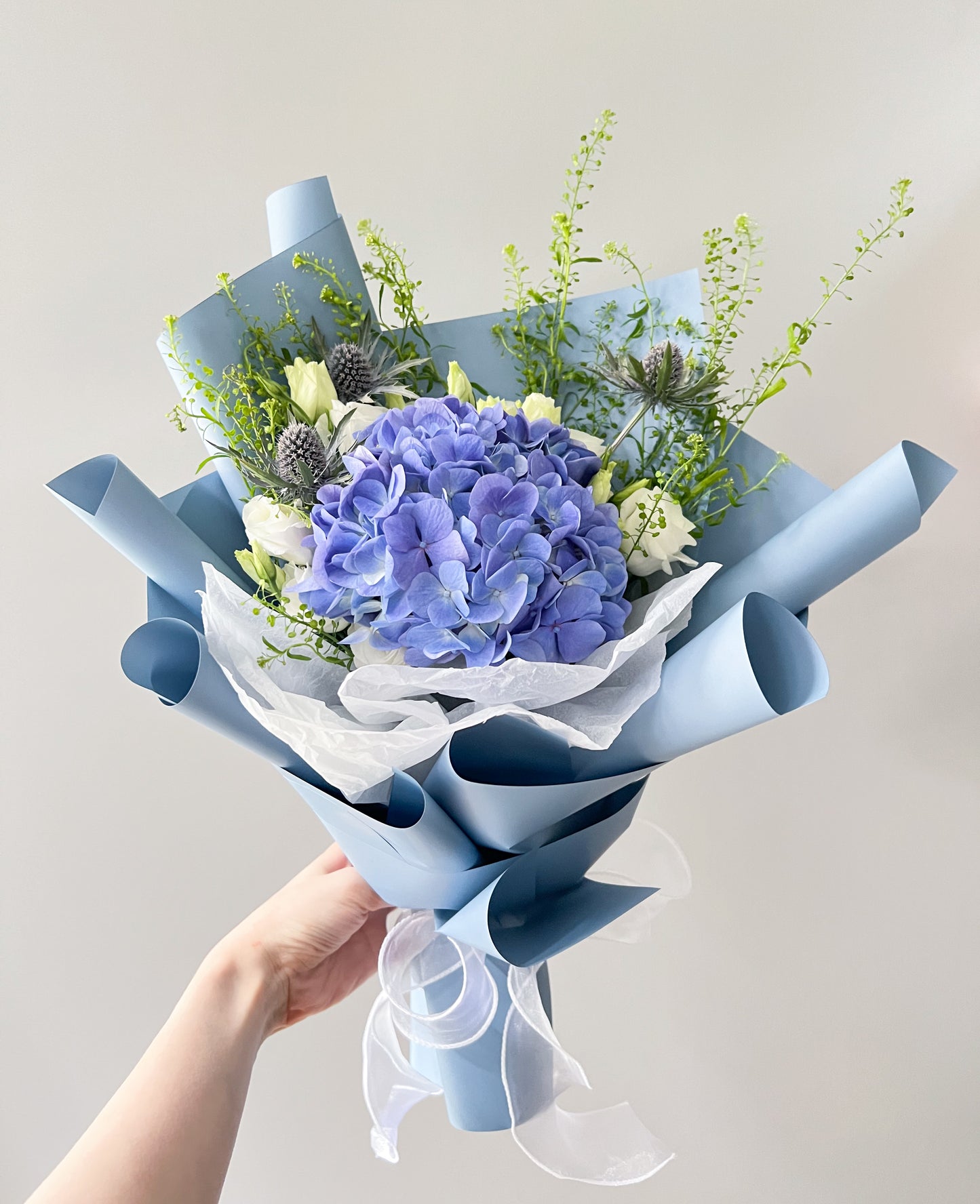 Cool Blue Hydrangea