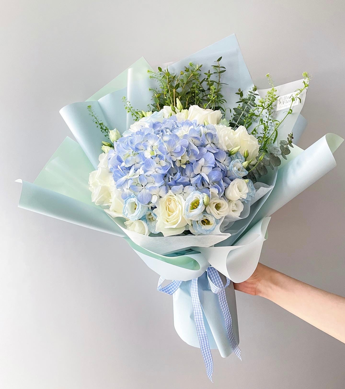 Azure Hydrangea