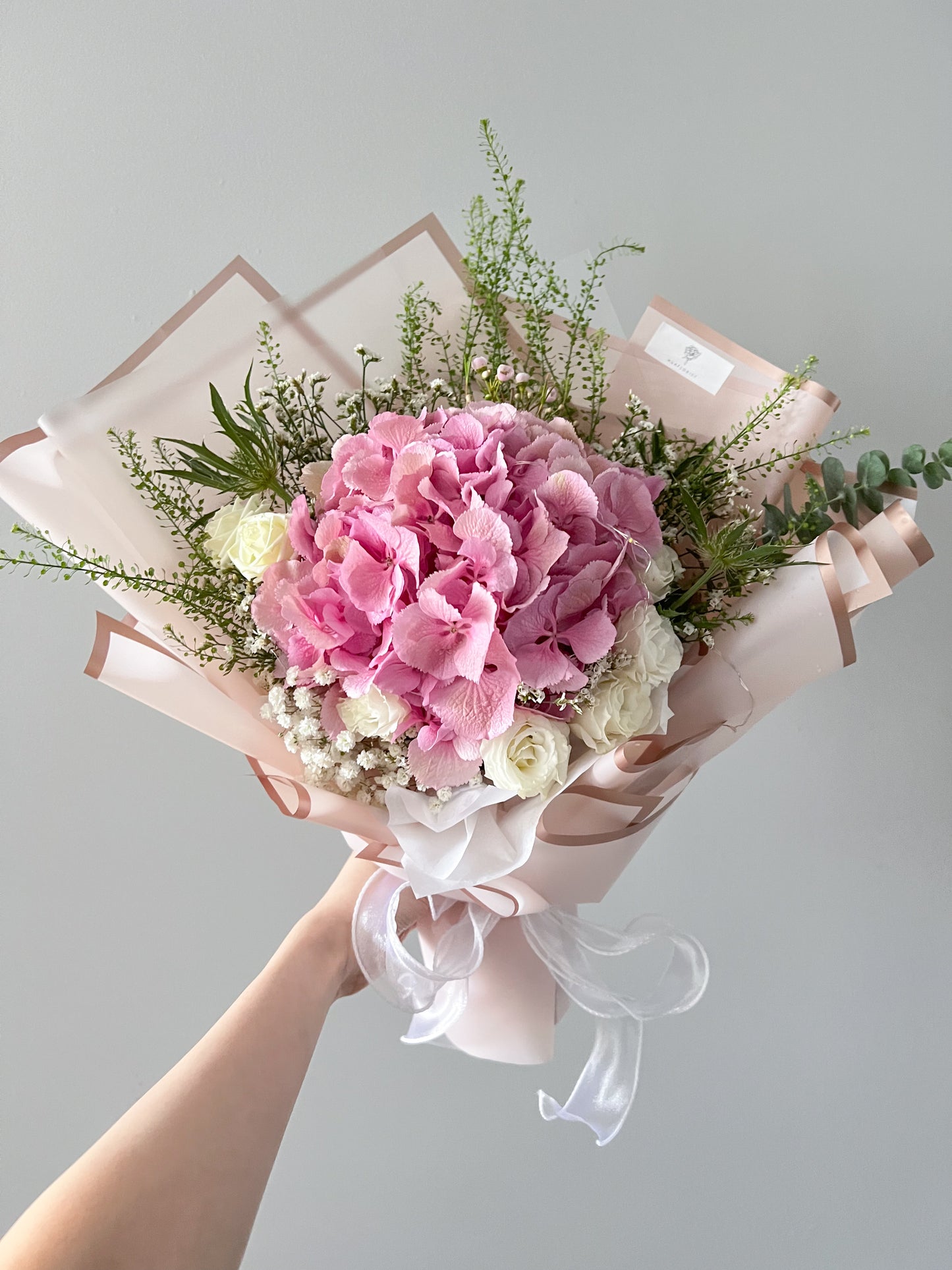 Pink Hydrangea