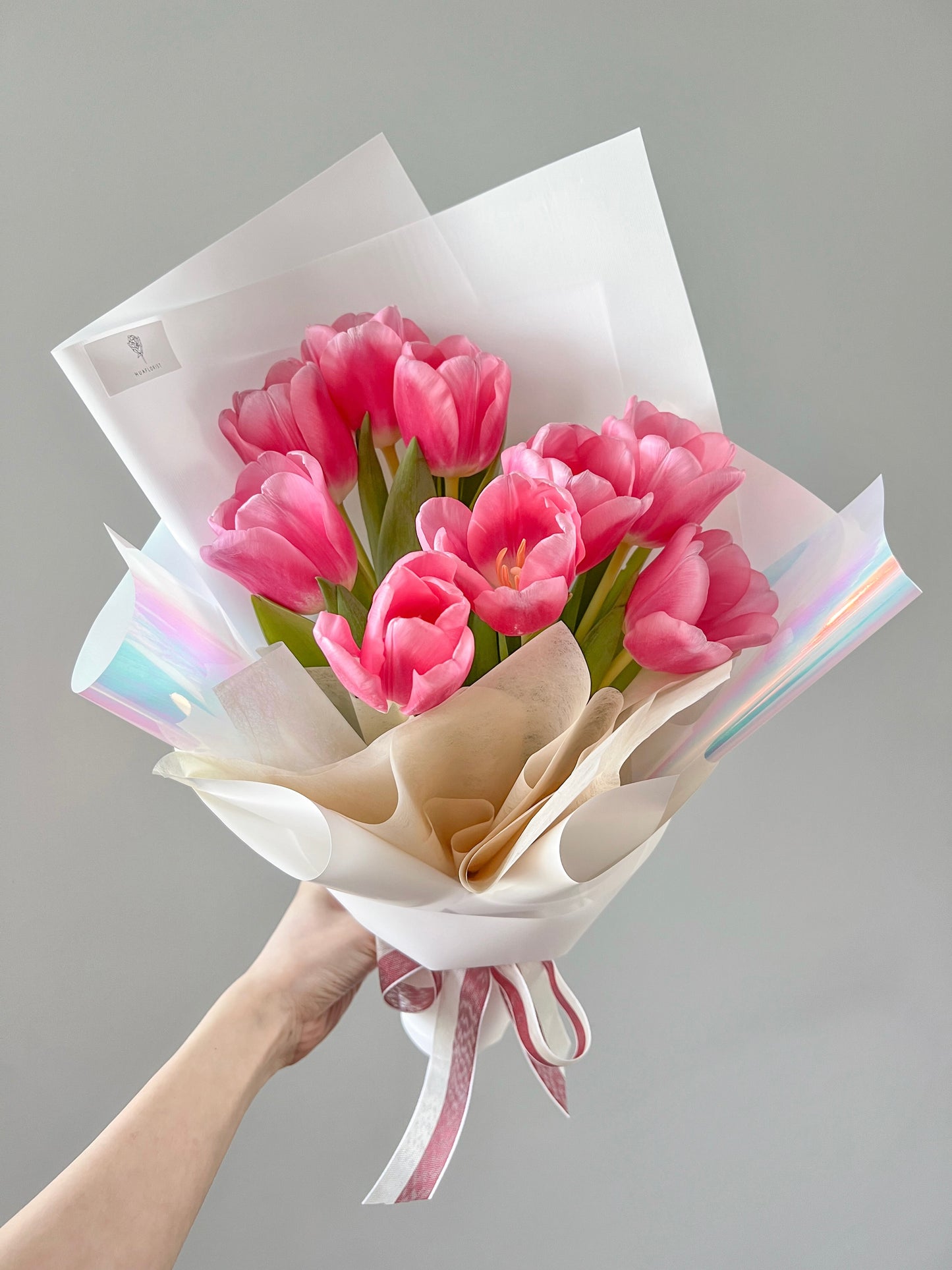 Tulip Petals