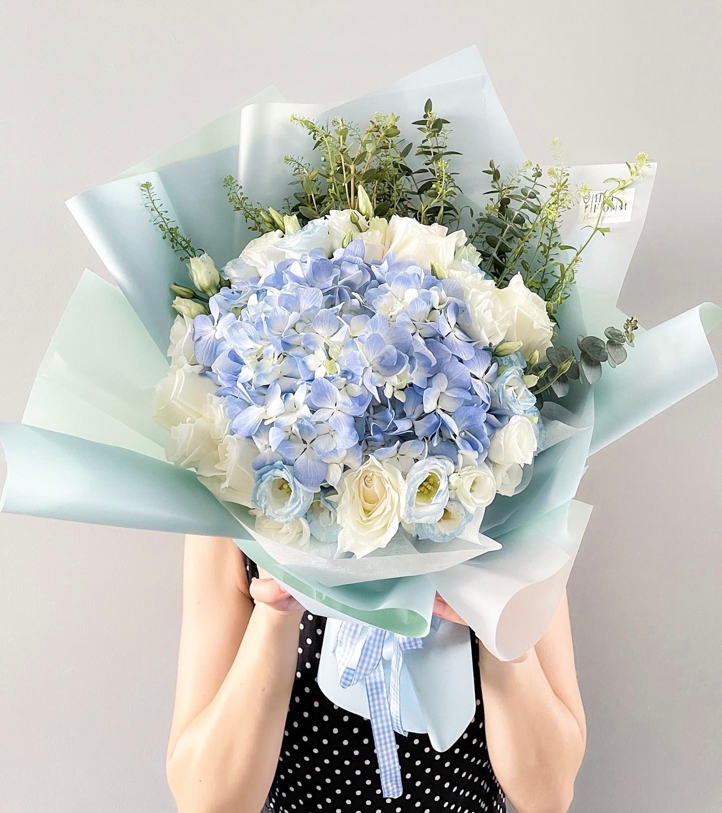 Azure Hydrangea