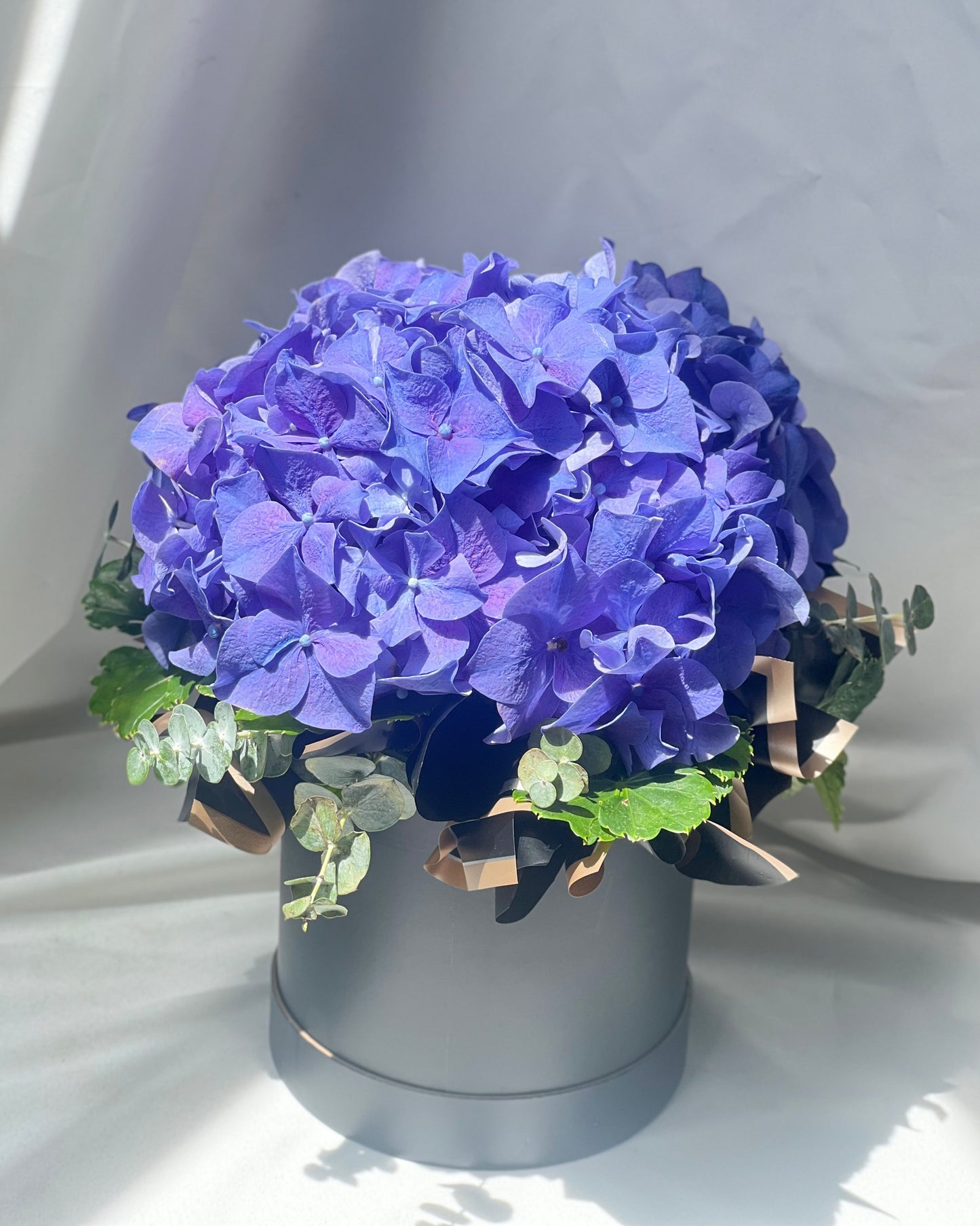 Simply Hydrangea