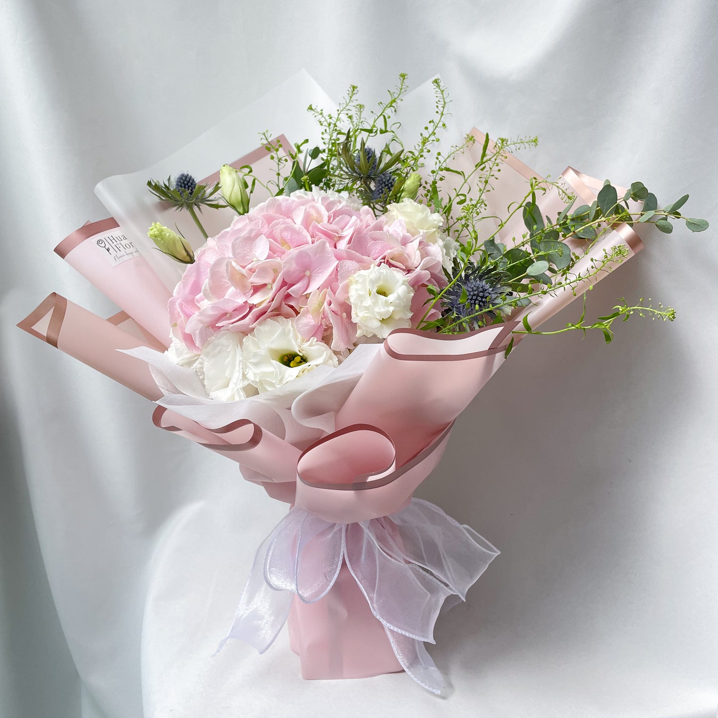 Pink Hydrangea