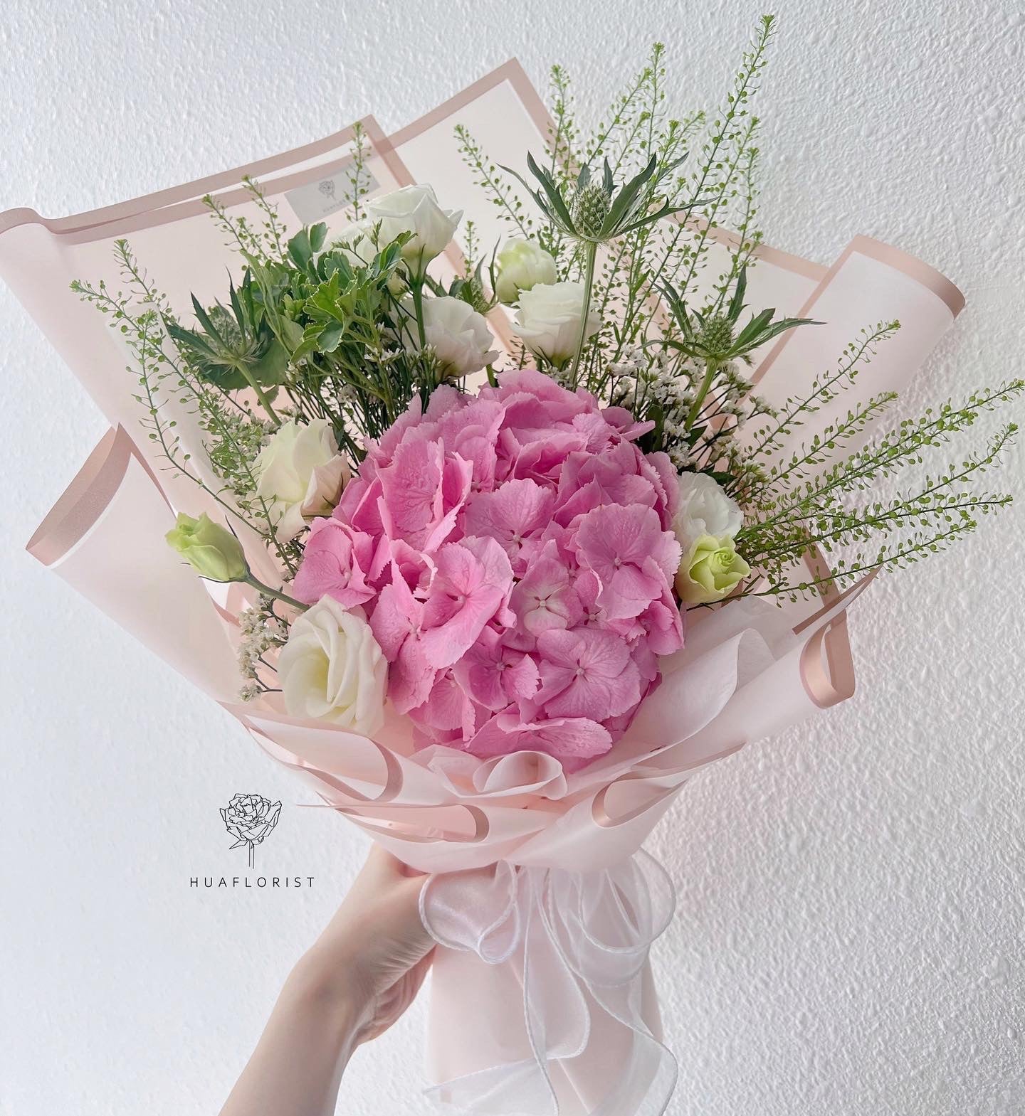 Pink Hydrangea