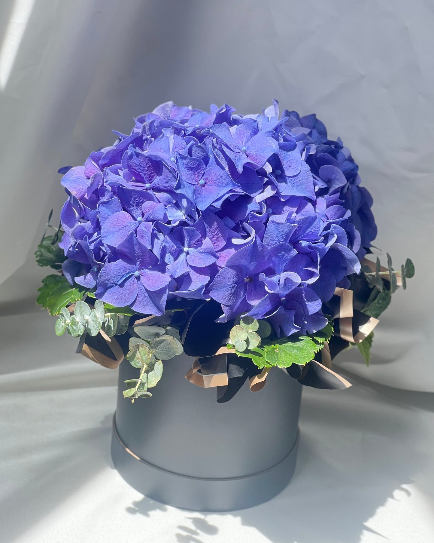 Simply Hydrangea