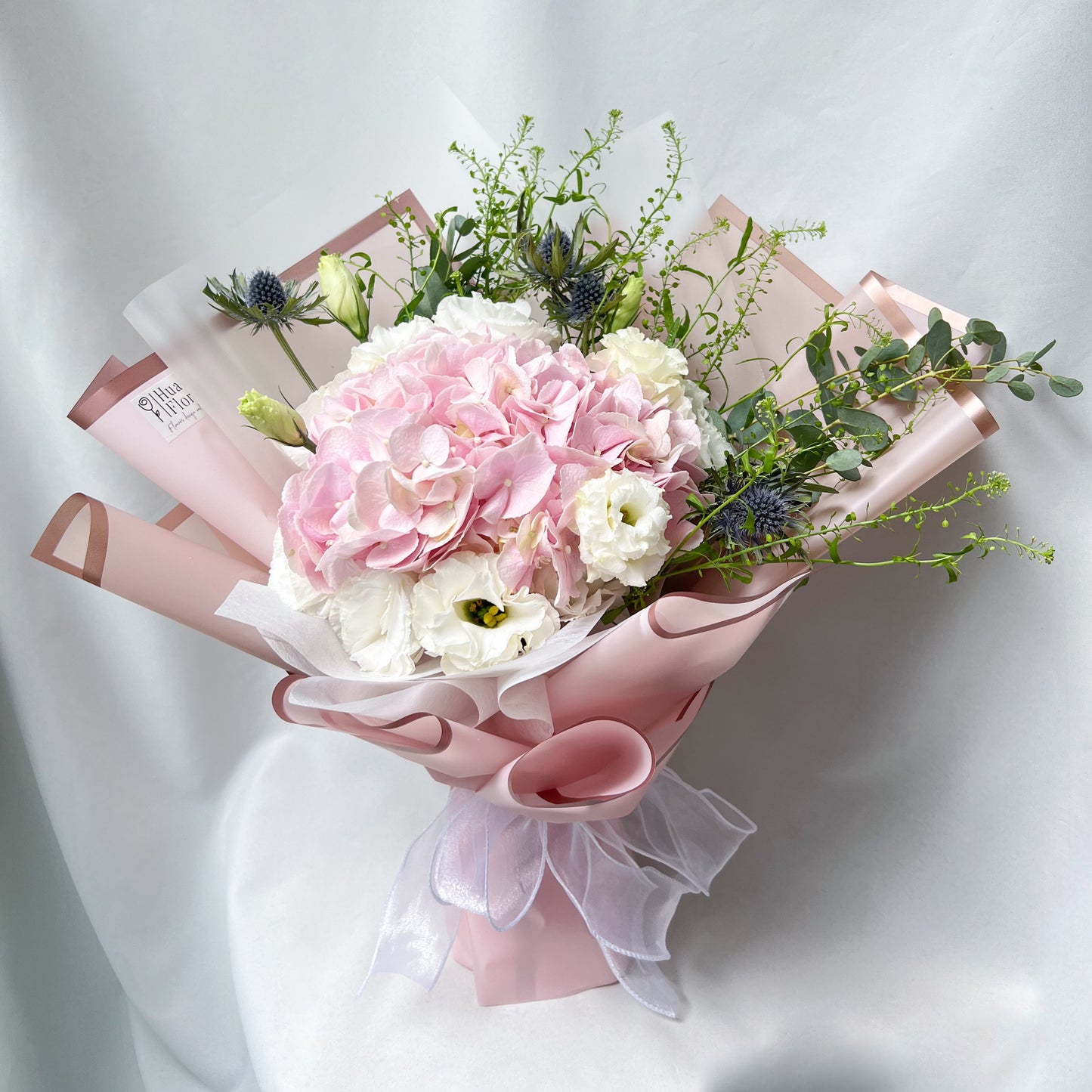 Pink Hydrangea