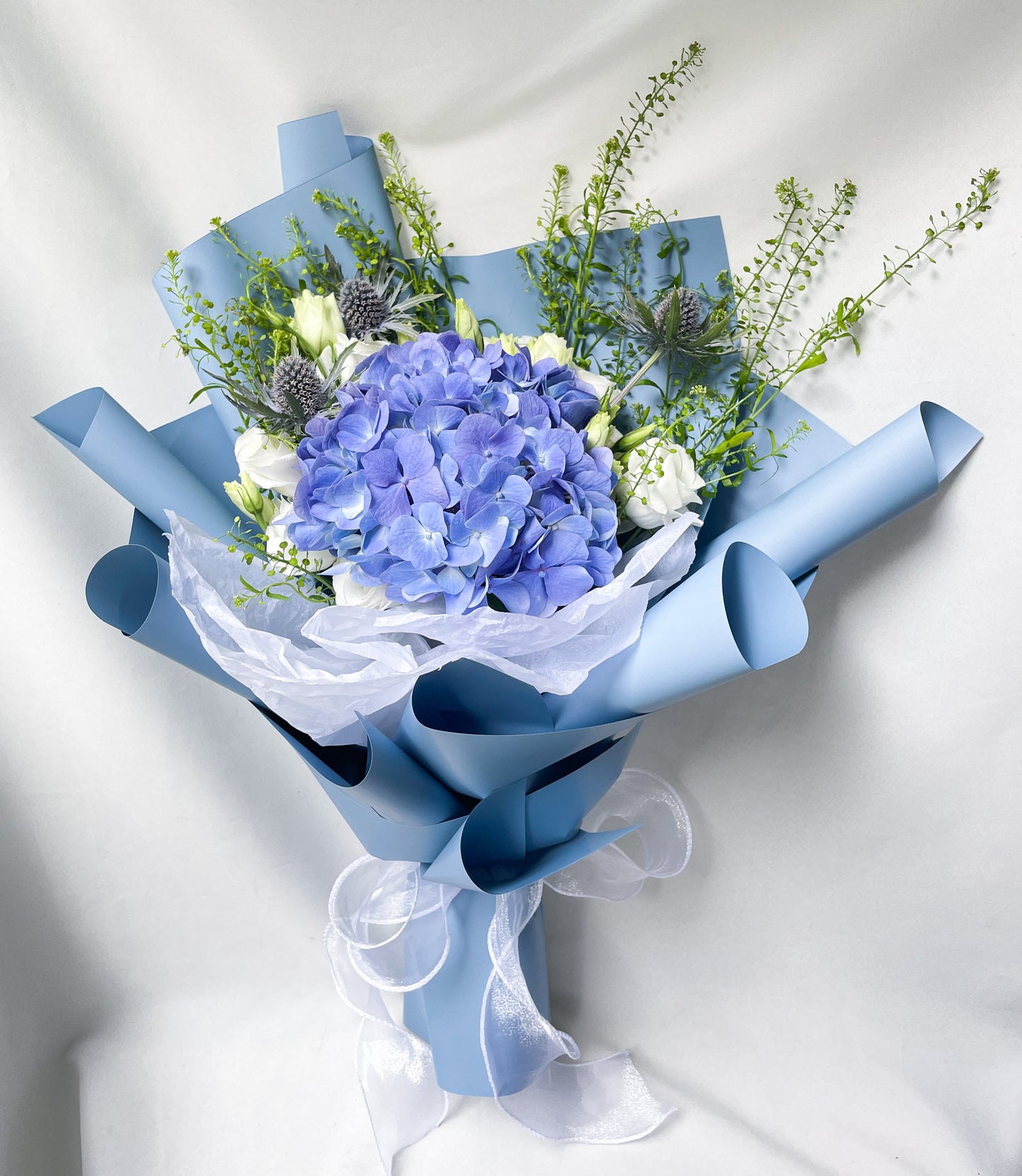 Cool Blue Hydrangea
