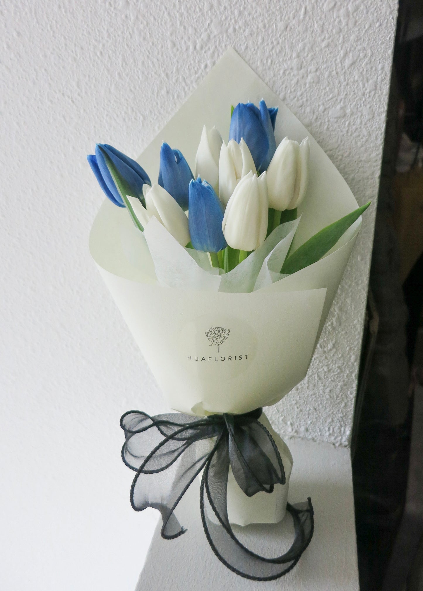 Blue and White Tulips