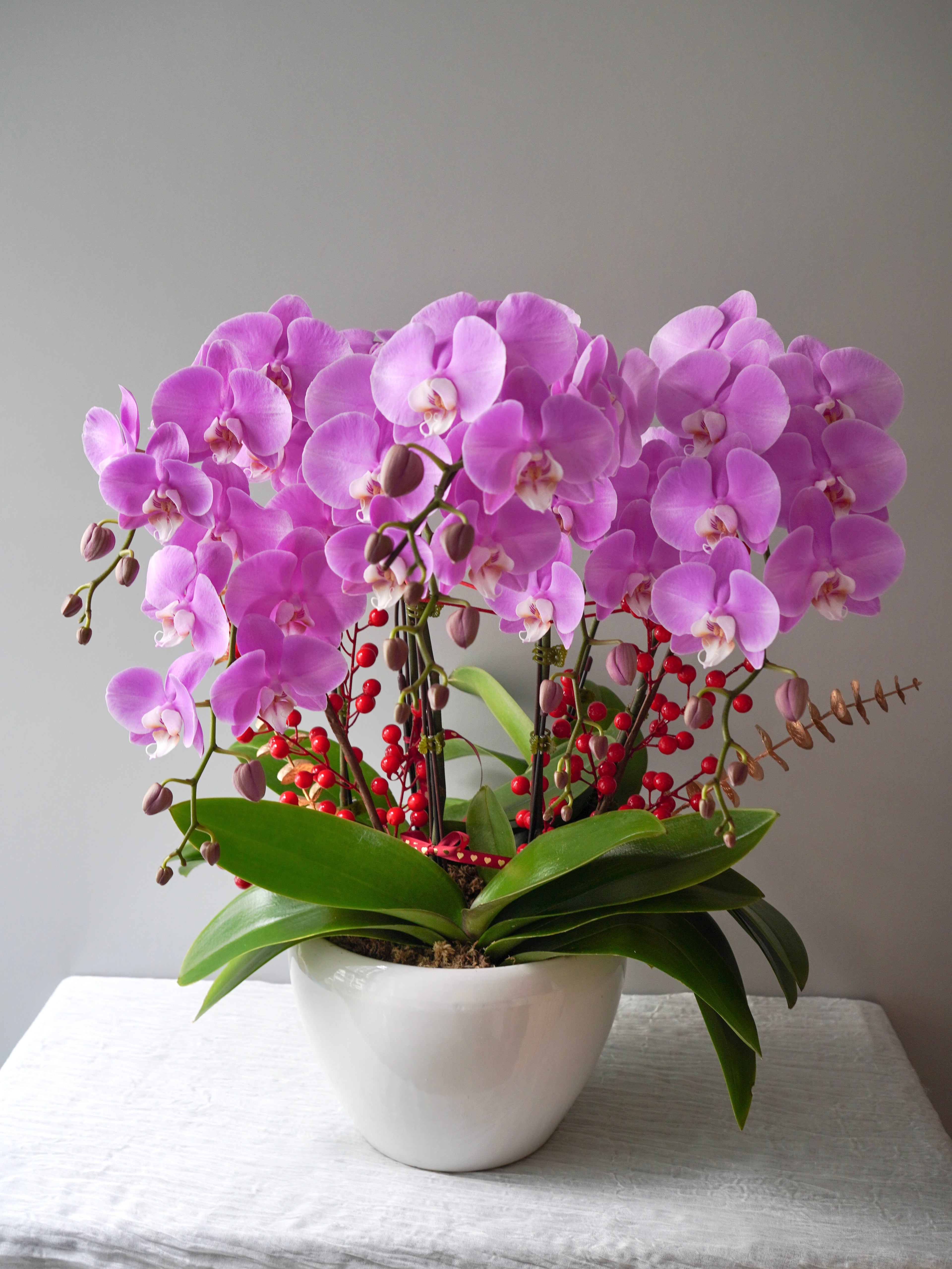 6 Orchids Arrangement