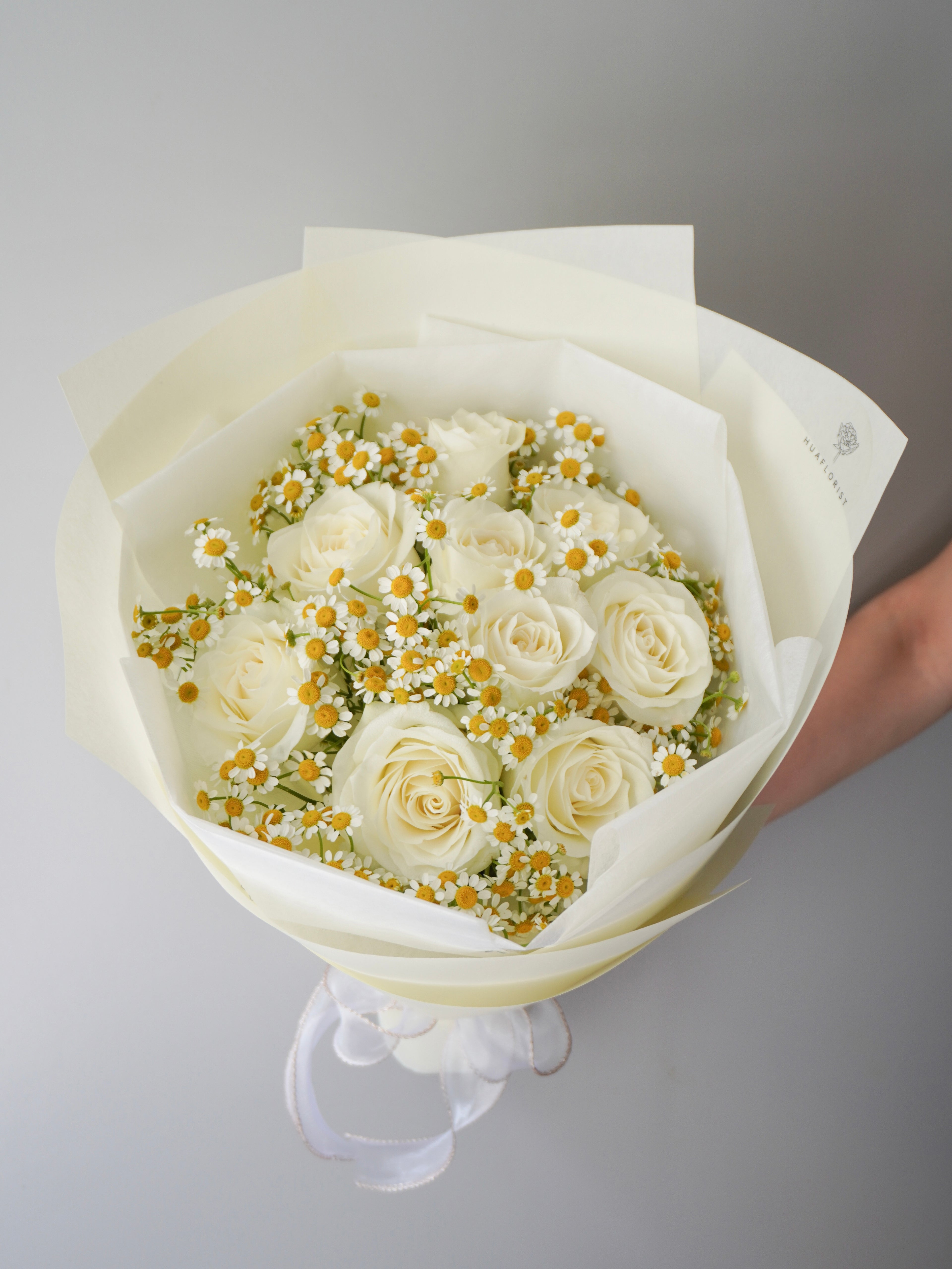 Daisy Frenzy