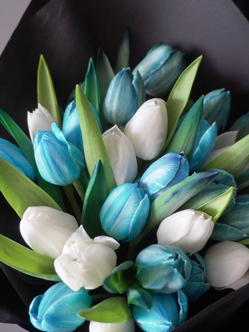 Blue and White Tulips - 28 stalks