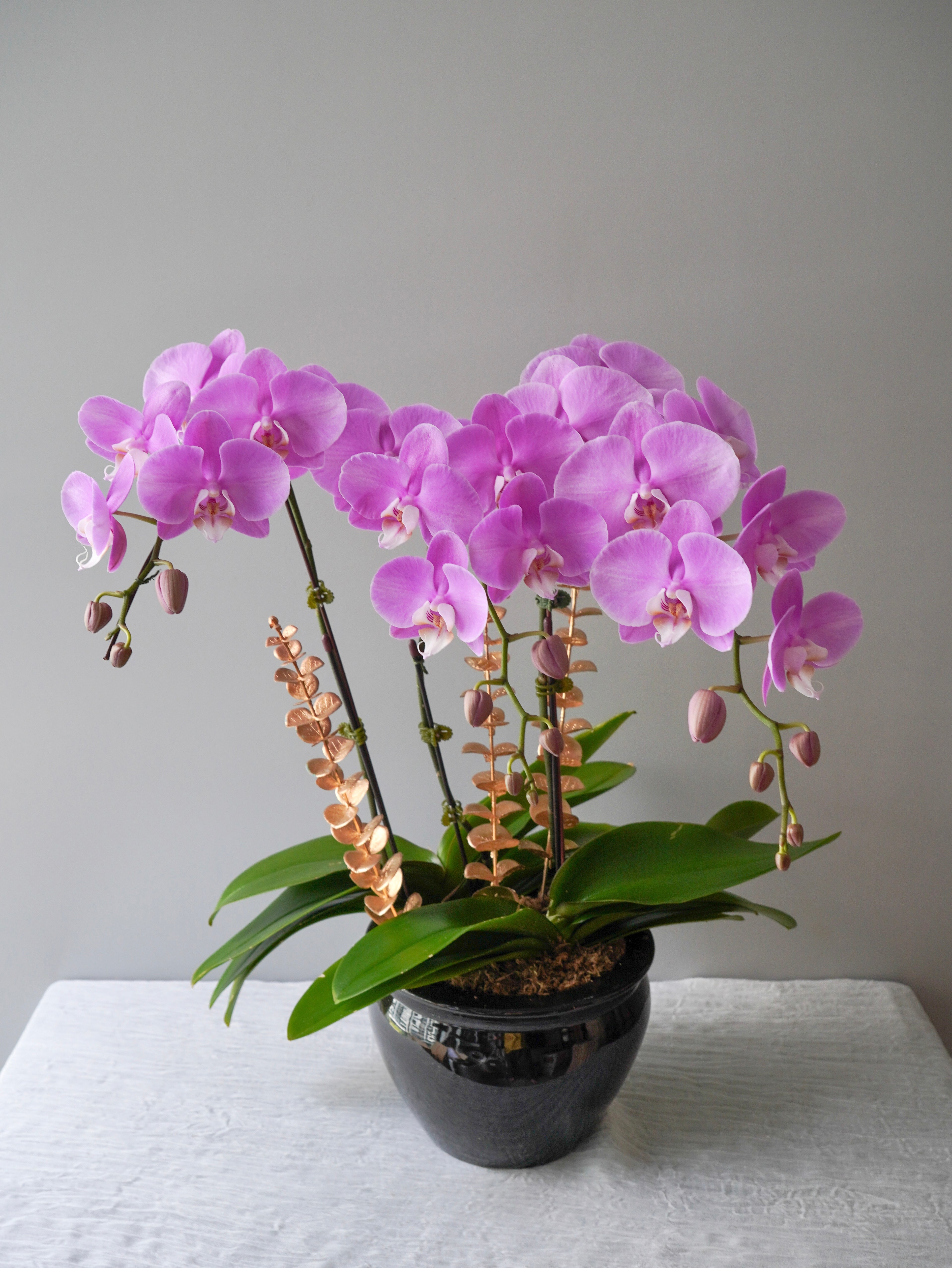 3 Orchids Arrangement