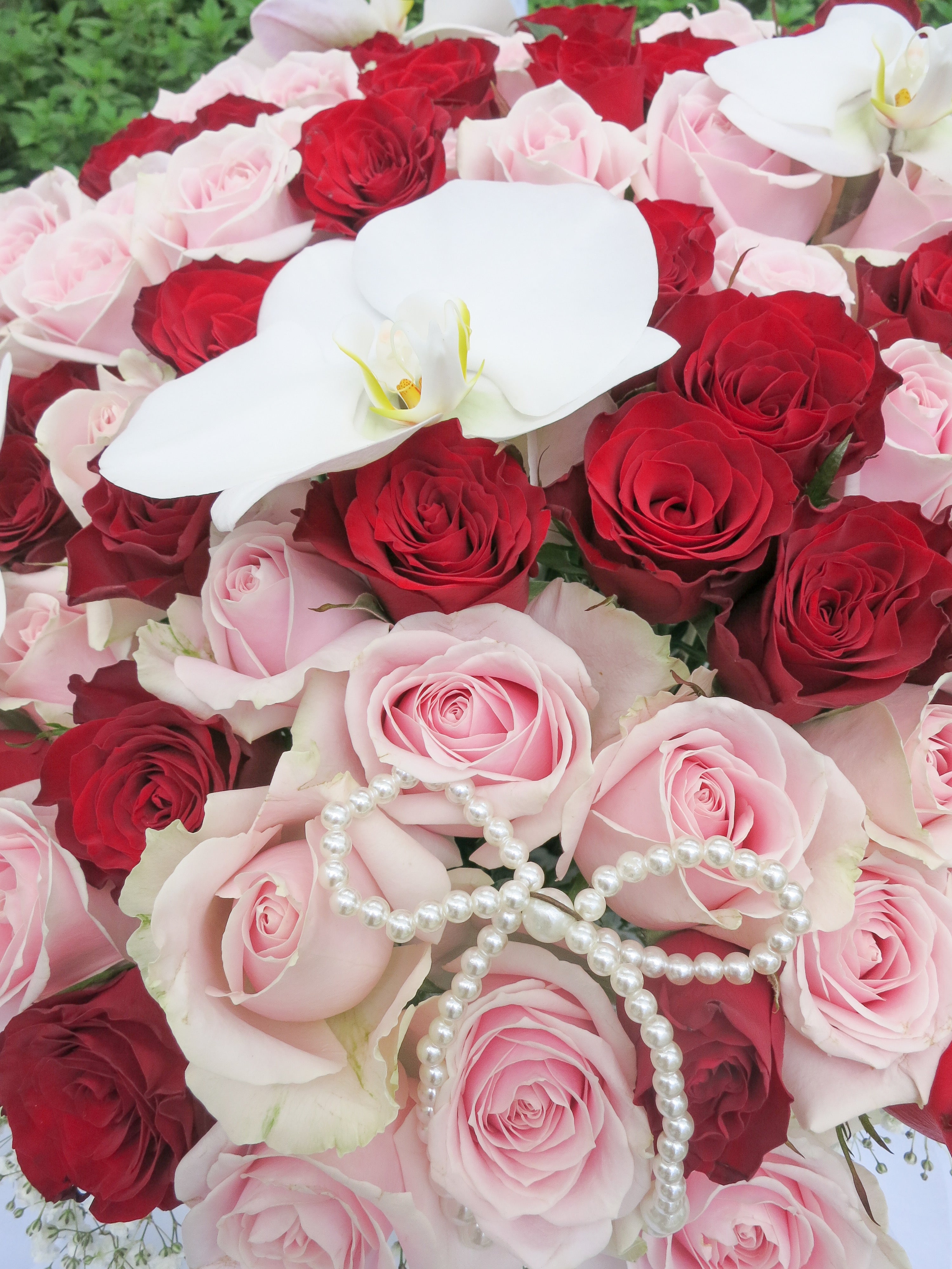 99 Roses with Phalaenopsis