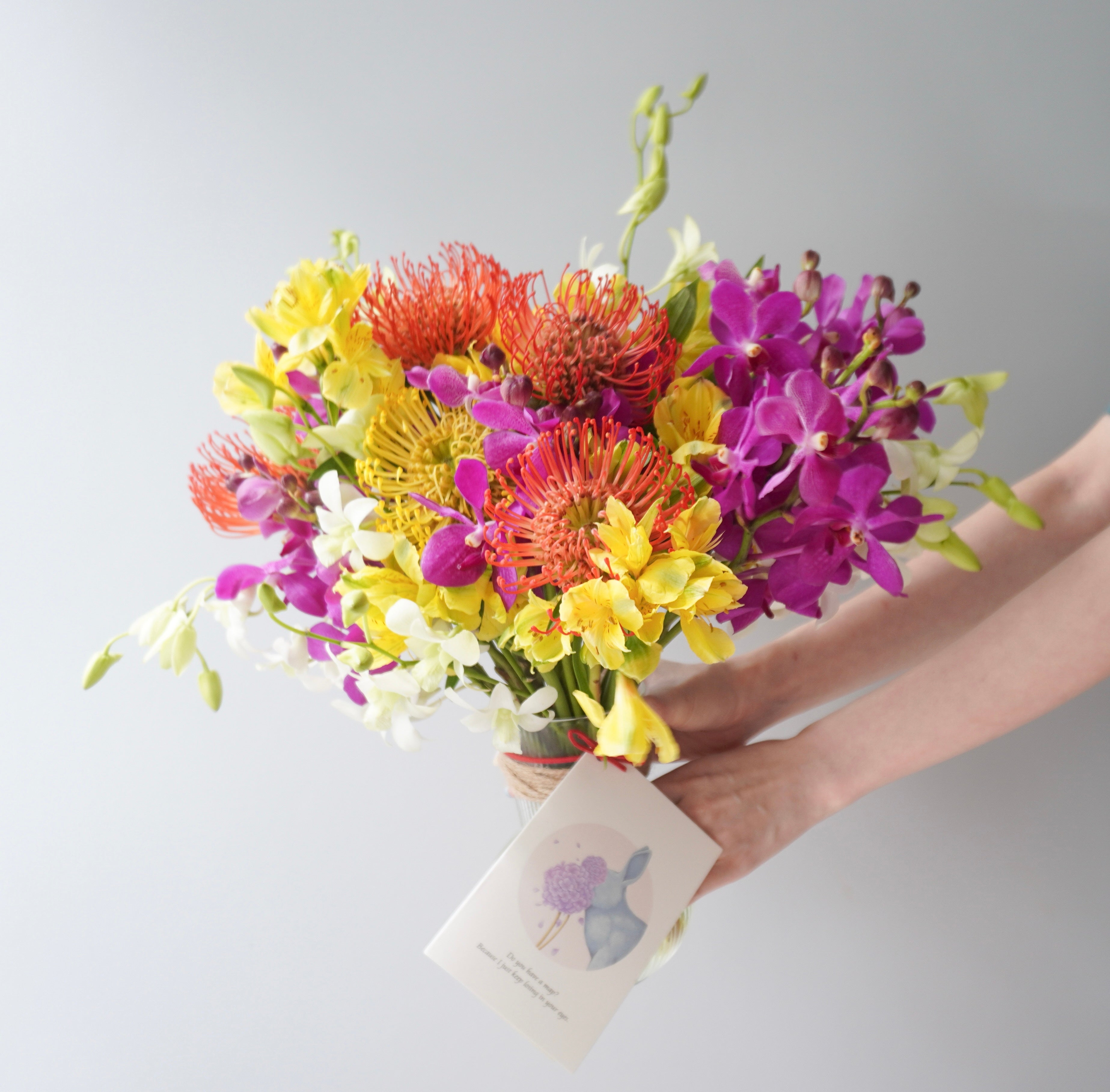 Orchid Fever