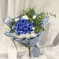 Cool Blue Hydrangea