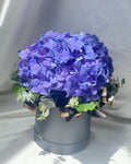 Simply Hydrangea