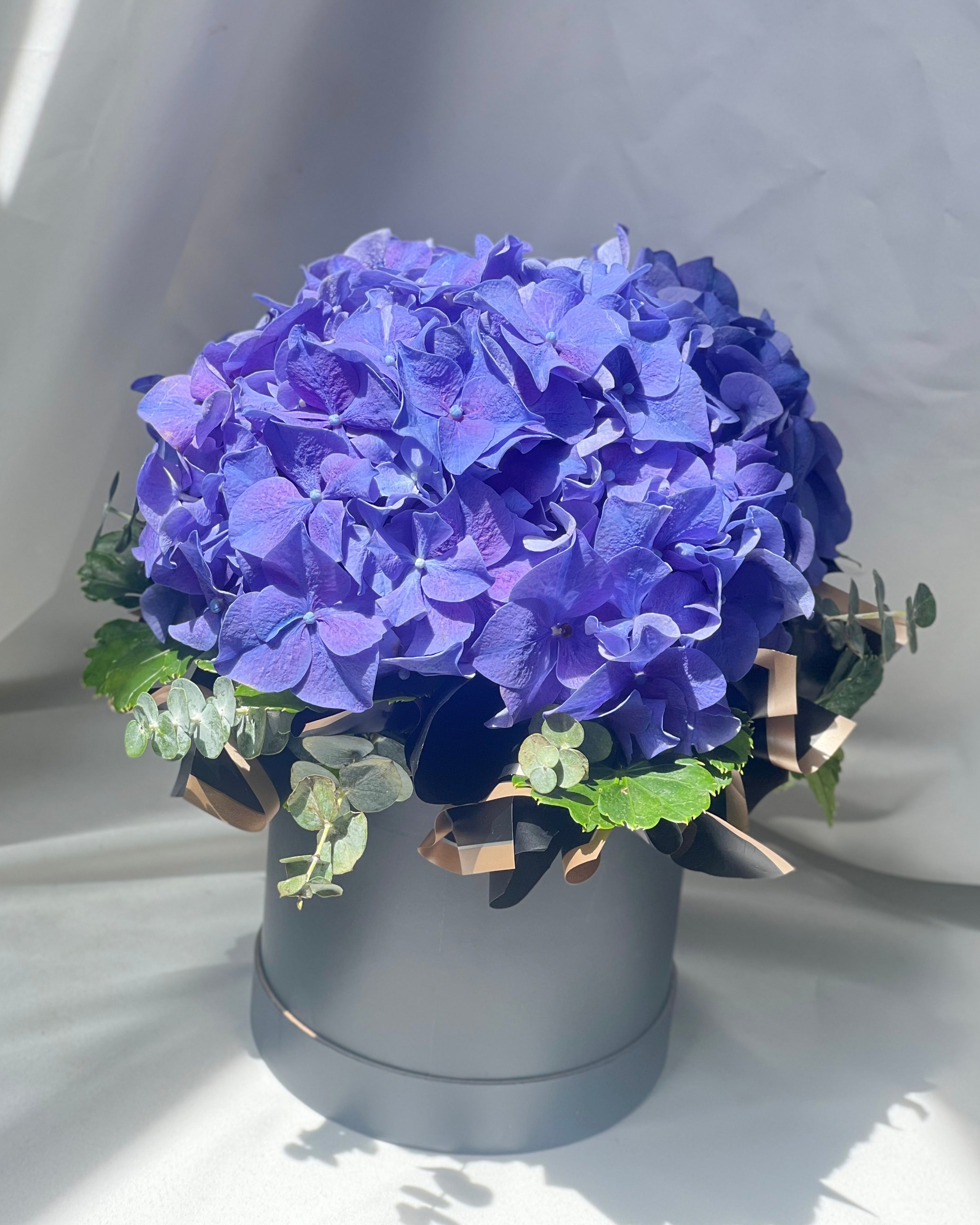 Simply Hydrangea